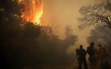 Τραγωδία στο Μάτι: Η (πολιτική και φυσική) Ηγεσία ΠΣ γνώριζε έγκαιρα (από ώρα 17:10) για τον κίνδυνο της πυρκαγιάς – Tου Ανδριανού Γκουρμπάτση