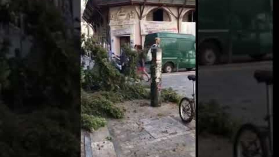 Ο «Ξενοφών» ξεριζώνει... δέντρα στο Μοναστηράκι! - Φωτογραφία 2