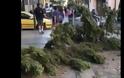 Ο «Ξενοφών» ξεριζώνει... δέντρα στο Μοναστηράκι! - Φωτογραφία 1