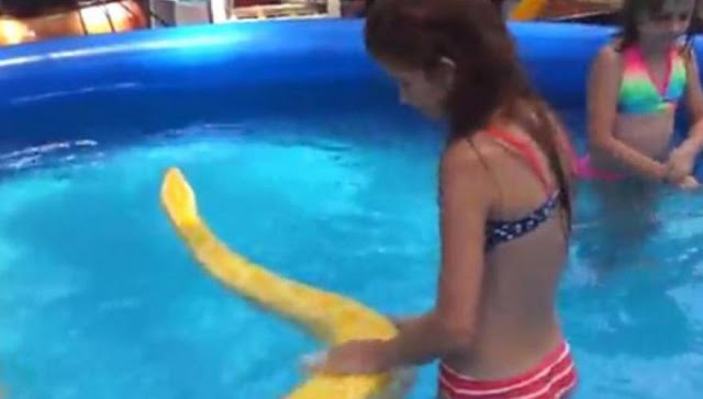 Κοριτσάκι κολυμπάει σε πισίνα μαζί με ένα... [photos] - Φωτογραφία 2