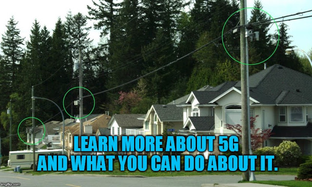 Can’t Attend the October 6 BioHacking EMF Event? - Be Sure to Check Out Their Website Anyway and Watch Short Video About 5G Small Cell Towers. - Φωτογραφία 1