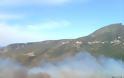 Νέα πυρκαγιά στο χωριό Πάστρα στην Κεφαλονιά - Εκκενώνεται σχολείο της περιοχής - Φωτογραφία 4