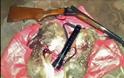 Δύο συλλήψεις για παράνομο κυνήγι λαγού στο Λασίθι
