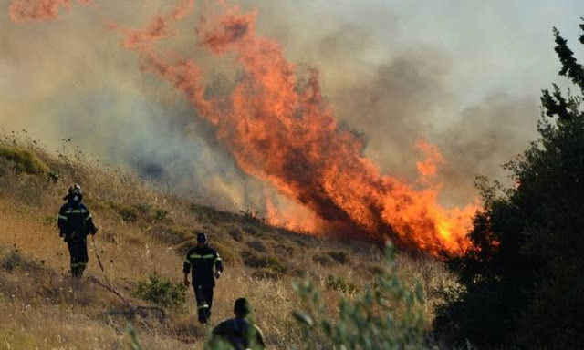 ‘’Οι πυρκαγιές στην Κεφαλονιά αναδεικνύουν για άλλη μια φορά ότι οι μεγάλες ελλείψεις στο Π.Σ. είναι και επικίνδυνες και καταστροφικές‘’ - Φωτογραφία 1