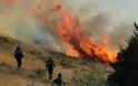‘’Οι πυρκαγιές στην Κεφαλονιά αναδεικνύουν για άλλη μια φορά ότι οι μεγάλες ελλείψεις στο Π.Σ. είναι και επικίνδυνες και καταστροφικές‘’