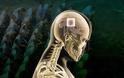 Are You Ready for Your State Mandated Brain Implant?