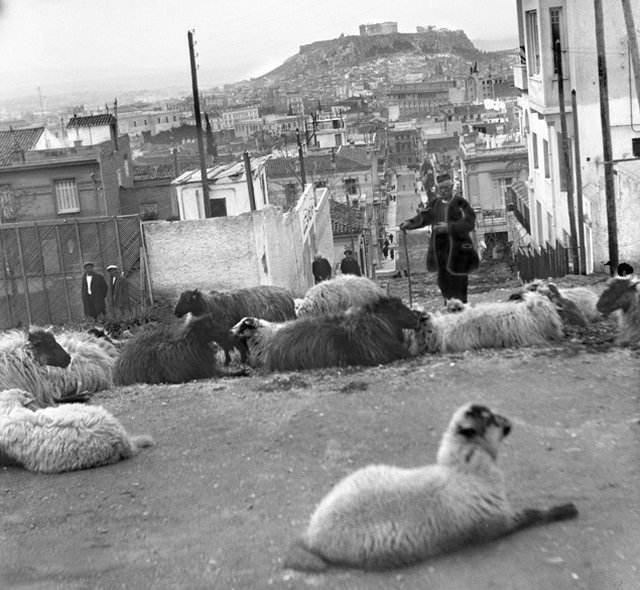 Κολωνάκι ή... Κατσικάδικα; Τα άγνωστα παλιά ονόματα γνωστών συνοικιών της Αθήνας - Φωτογραφία 2