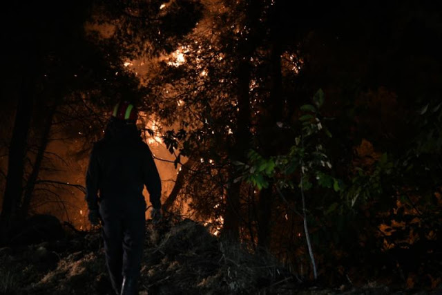 Νεκρός πυροσβέστης στις Σέρρες! Αδιανόητη τραγωδία εν ώρα καθήκοντος (ΦΩΤΟ) - Φωτογραφία 2