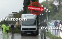 Νωρίς το πρωί της Δευτέρας στη Χαλκίδα: Τεράστιο πεύκο έπεσε στο δρόμο της Λεωφόρου Μακαρίου - Από τύχη δεν θρηνήσαμε θύματα! (ΦΩΤΟ & ΒΙΝΤΕΟ) - Φωτογραφία 1