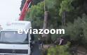 Νωρίς το πρωί της Δευτέρας στη Χαλκίδα: Τεράστιο πεύκο έπεσε στο δρόμο της Λεωφόρου Μακαρίου - Από τύχη δεν θρηνήσαμε θύματα! (ΦΩΤΟ & ΒΙΝΤΕΟ) - Φωτογραφία 7