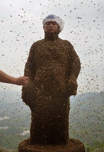 Ένας Κινέζος αποφάσισε να καλύψει το σώμα του με 460.000 μέλισσες - Δείτε το αποτέλεσμα… [photos] - Φωτογραφία 4
