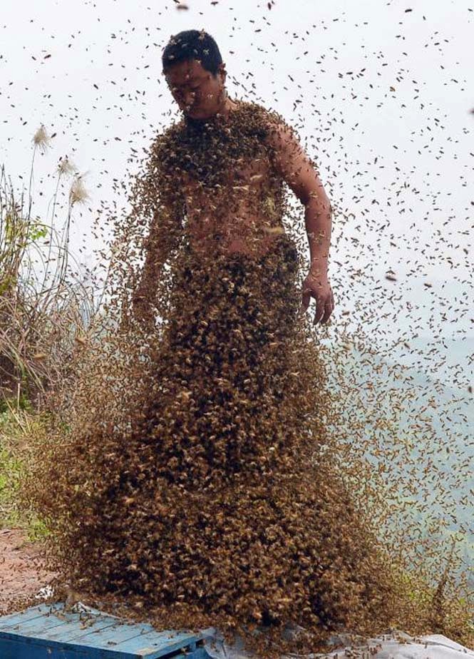 Ένας Κινέζος αποφάσισε να καλύψει το σώμα του με 460.000 μέλισσες - Δείτε το αποτέλεσμα… [photos] - Φωτογραφία 5