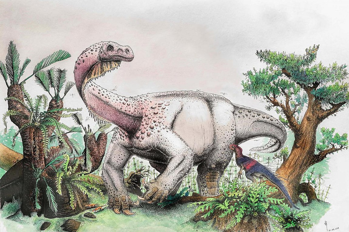 Ανακαλύφθηκε ένας νέος τεράστιος δεινόσαυρος στη Νότια Αφρική - Φωτογραφία 1