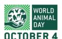 Παγκόσμια Ημέρα των Ζώων, 4 Οκτωβρίου (video) - Φωτογραφία 2