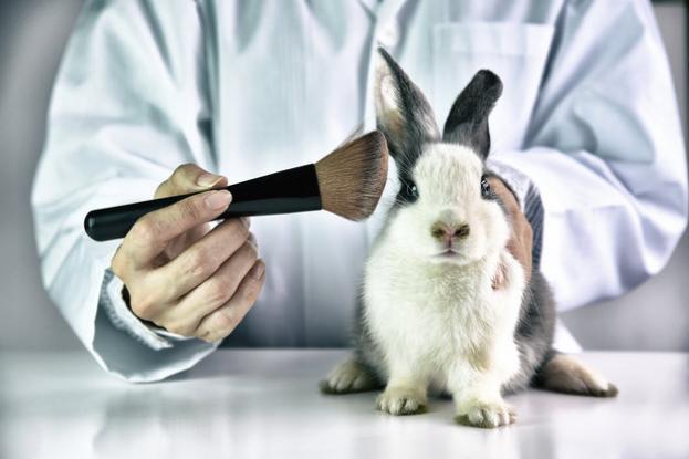 Η Καλιφόρνια απαγορεύει τα καλλυντικά που έχουν δοκιμαστεί σε ζώα - Φωτογραφία 1