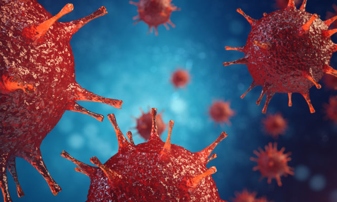 Μοναδικό βίντεο για την γρίπη: Πώς μεταδίδεται ο ιός – Προσοχή ενόψει εποχικής γρίπης! - Φωτογραφία 1