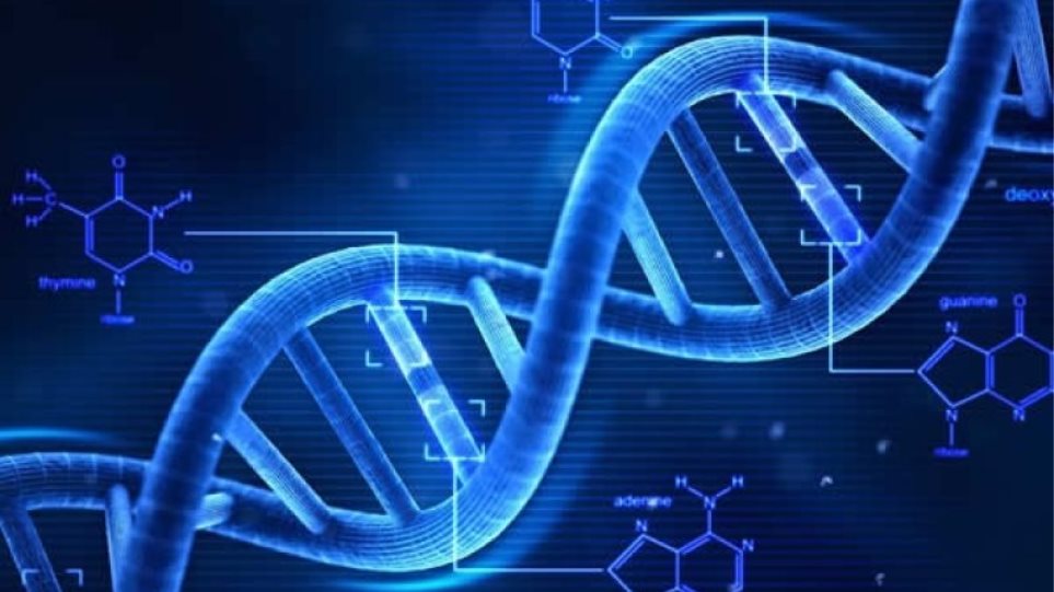 Νέα μελέτη αποκαλύπτει σύνδεση μεταξύ DNA και καρκίνου - Φωτογραφία 1