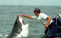 Φιλία μεταξύ ανθρώπου και καρχαρία [photos]