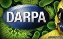 Scientists Accuse DARPA of Genetically Modifying Insects for Bioweapon to Spread Agricultural Viruses