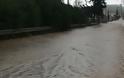 ΕΑΚΠ: Οι συνέπειες από τις πρόσφατες πλημμύρες στις εγκαταστάσεις και τον εξοπλισμό του Π.Κ. Μαντουδίου