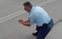 Aστυνομικός βοηθάει χελωνάκι να περάσει τον δρόμο (ΦΩΤΟ) - Φωτογραφία 2