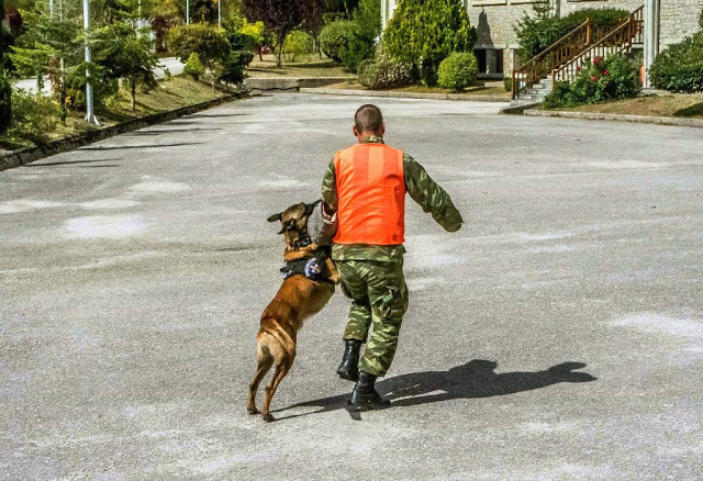 Επίσκεψη Διοικητή 1ης ΣΤΡΑΤΙΑΣ/EU-OHQ στην Περιοχή Ευθύνης της 8ης Μ/Π ΤΑΞ - Φωτογραφία 15