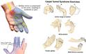Ποια δάχτυλα επηρεάζονται από το σύνδρομο του καρπιαίου σωλήνα και ποιες ασκήσεις θα σας ανακουφίσουν; - Φωτογραφία 2