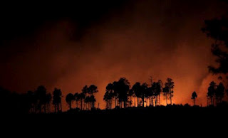 Καλοκαίρι χωρίς καταστροφικές πυρκαγιές βλέπει η Πυροσβεστικκή - Φωτογραφία 1