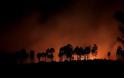 Καλοκαίρι χωρίς καταστροφικές πυρκαγιές βλέπει η Πυροσβεστικκή