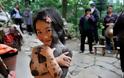 Συγκλονιστική ιστορία: Το κοριτσάκι με το σύνδρομο του λύκου - Φωτογραφία 1