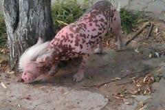 ΜΥΣΤΗΡΙΩΔΕΣ ΠΛΑΣΜΑ: Τρόμαξε τους κατοίκους μιας πόλης στη Κίνα [φωτο]