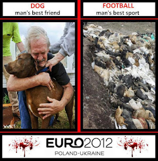 ΣΟΚΑΡΙΣΤΙΚΕΣ ΦΩΤΟ : H άλλη όψη του Euro 2012 σε Πολωνία-Ουκρανία - Φωτογραφία 1