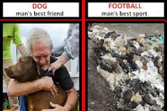 ΣΟΚΑΡΙΣΤΙΚΕΣ ΦΩΤΟ : H άλλη όψη του Euro 2012 σε Πολωνία-Ουκρανία