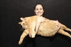 Η πιο χοντρή γάτα του κόσμου!