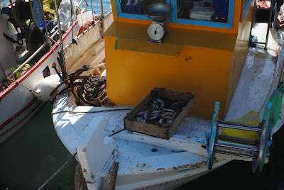 Με αποκλεισμό του λιμανιού της Σκοπέλου απειλούν οι επαγγελματίες ψαράδες της Σκοπέλου αν δεν δοθεί λύση στο πρόβλημα τούς - Φωτογραφία 4