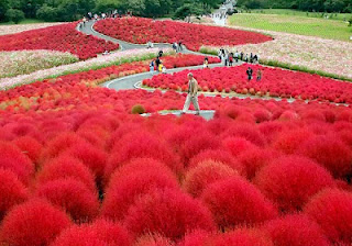 Φανταστικό πάρκο-κήπος στην Ιαπωνία! - Φωτογραφία 1