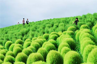 Φανταστικό πάρκο-κήπος στην Ιαπωνία! - Φωτογραφία 5