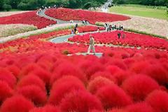 Φανταστικό πάρκο-κήπος στην Ιαπωνία!