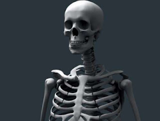 «Ξεθάβοντας σκελετούς από τη ντουλάπα» - Φωτογραφία 1