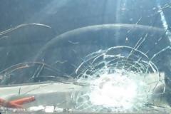 ΑΠΙΣΤΕΥΤΟ:Βοσκός έκανε μαύρο στο ξύλο με τη γκλίτσα οδηγό  επειδή του τρόμαξε τα γίδια!!!