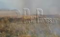 Βροντού Πιερίας - Φωτιά αυτή τη στιγμή σε αγροτική τοποθεσία