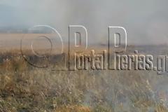 Βροντού Πιερίας - Φωτιά αυτή τη στιγμή σε αγροτική τοποθεσία