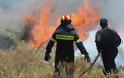 Βοιωτία: Δυο μεγάλες πυρκαγιές σε εξέλιξη - Έκλεισε το ένα ρεύμα της εθνικής