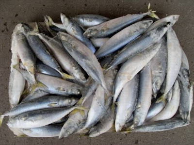 Η κατανάλωση ψαριού «ασπίδα» ενάντια στο Αλτσχάιμερ - Φωτογραφία 1