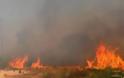 Φθιώτιδα: Σε εξέλιξη μεγάλη πυρκαγιά στη περιοχή του Δομοκού