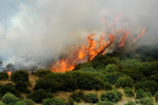 Πυρκαγιά στη Νεάπολη Λακωνίας - Φωτογραφία 1