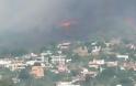 Μεγάλη πυρκαγιά στην Κερατέα - Φωτογραφία 1