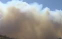 Μεγάλη πυρκαγιά στην Κερατέα - Φωτογραφία 3