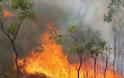 Συναγερμός για τη φωτιά στην Ντράσα Κορινθίας
