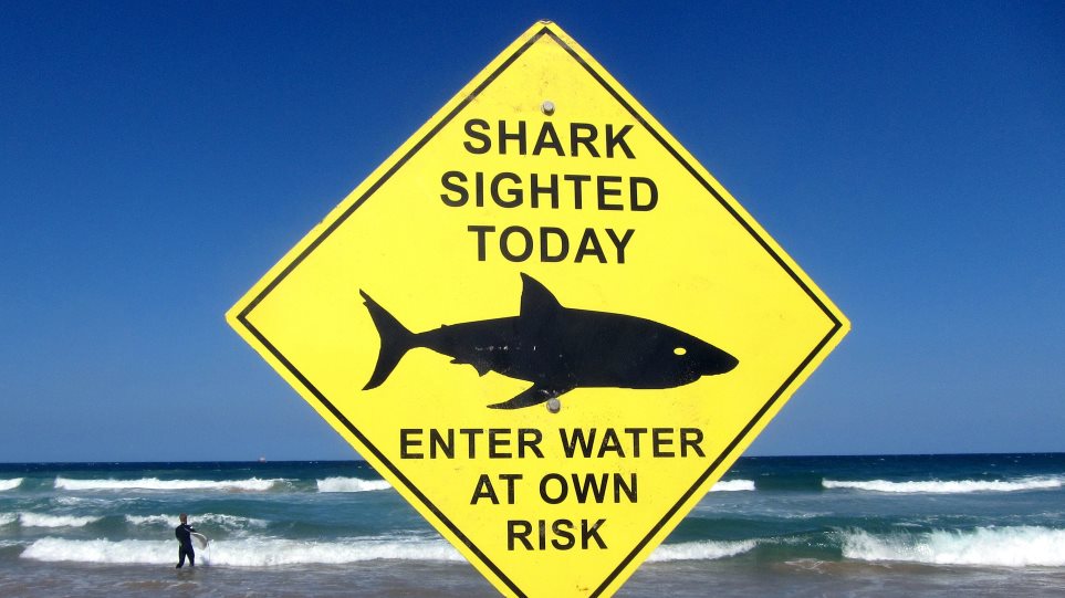 Προειδοποίηση για εμφάνιση καρχαριών σε παραλίες της Φλόριντα μετά τον κυκλώνα εξέδωσαν οι αρχές - Φωτογραφία 1